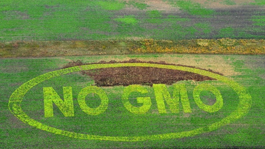 Jönnek a génmanipulált élelmiszerek Magyarországra? A kormány nem áll ki hazánk GMO-mentessége mellett