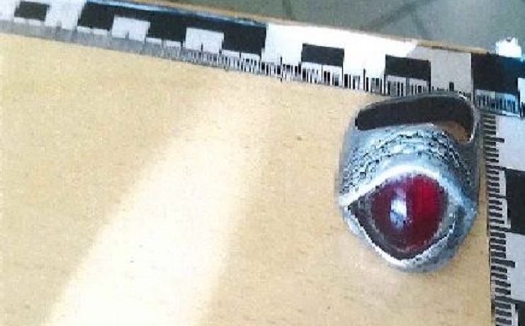 RÉSZEGEN, TÖBBSZÖR VERTE “PÁRJÁT” A TATABÁNYAI ÁLLAT: feltételesen volt szabadon