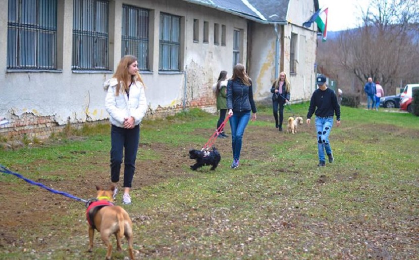 kutyakaracsony-tb-segitokez2019-01.jpg