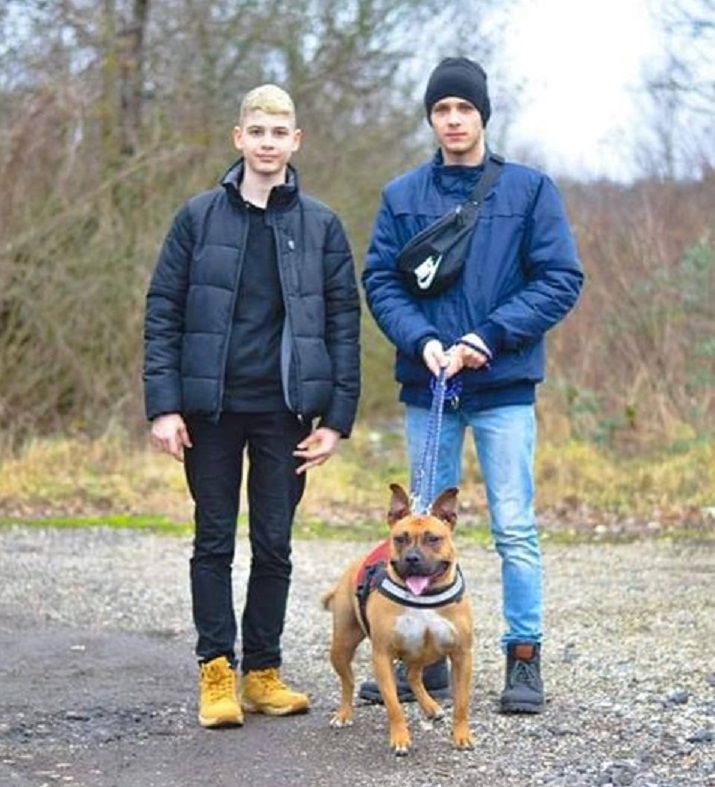 kutyakaracsony-tb-segitokez2019-03.jpg