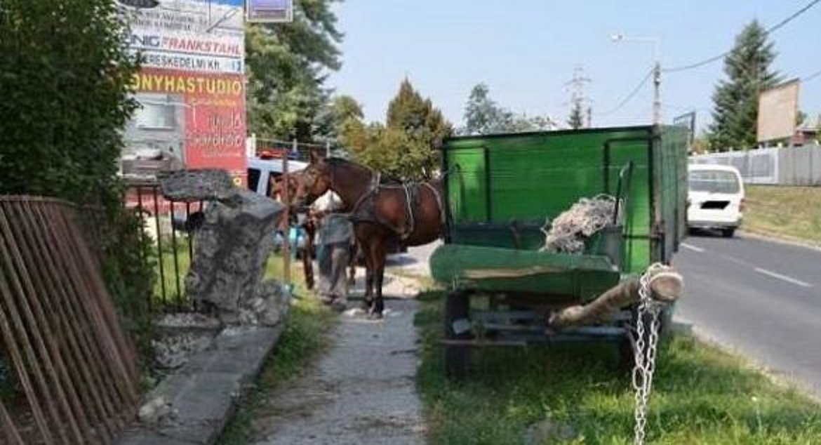 ELKÉPESZTŐ: Megvadult lovak miatt rombolt egy ház kerítésének a lovaskocsi Tatabányán