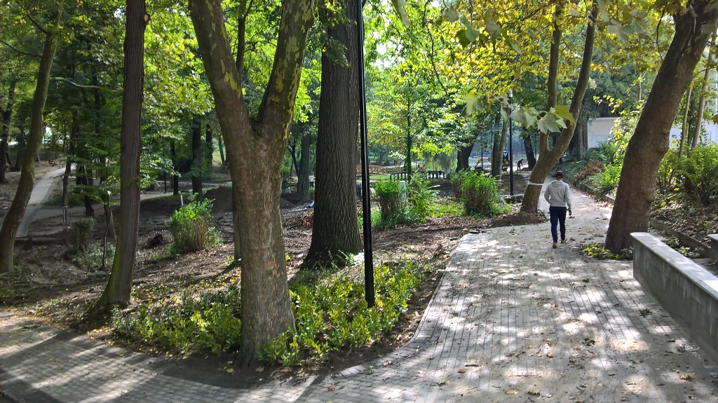 park2.jpg