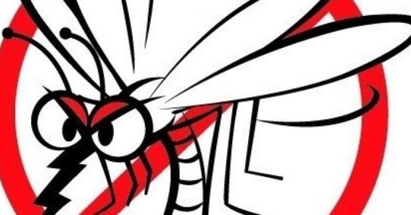 HOLNAPTÓL a szúnyogoknak annyi! Kezdődik a központi szúnyogirtás, vajon Tatabányán mikor kezdik a helyi szúnyogirtást?