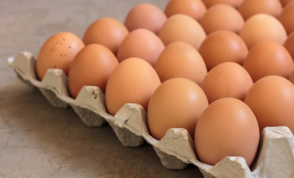 IDE MENJEN TOJÁSÉRT TATABÁNYÁN: Keményen csökkenti a tojás árát a Lidl