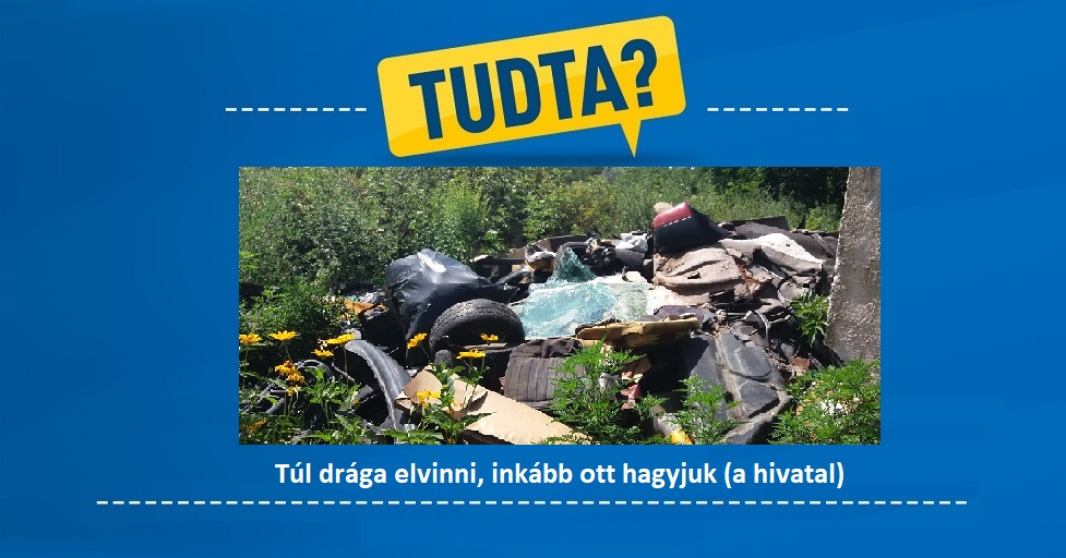 TUDTÁK MIÉRT VANNAK SZEMÉT TENGEREK TATABÁNYÁN ?! Sokba kerül, ezért inkább otthagyják a jegyző emberei!