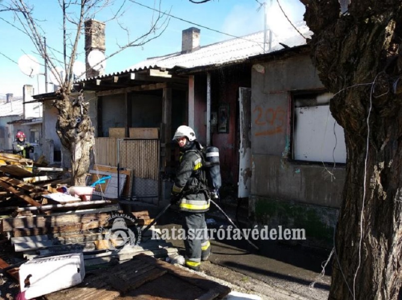 tuz-mesztelepilakasnal0306-02.jpg