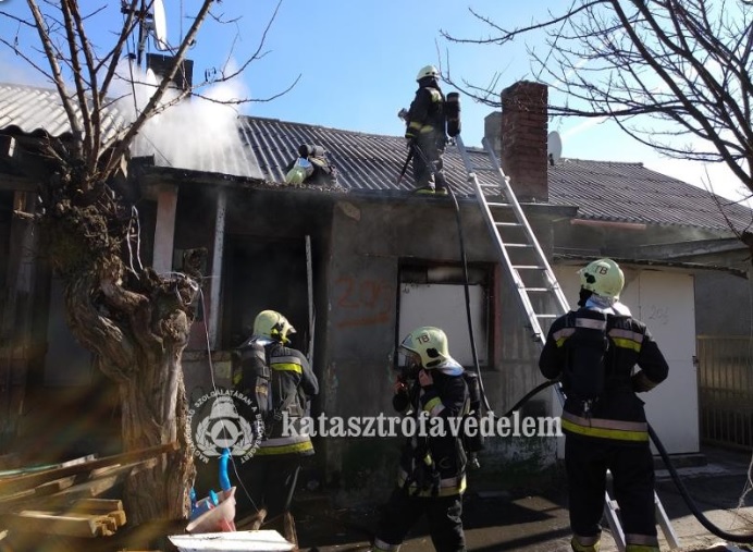 tuz-mesztelepilakasnal0306-03.jpg