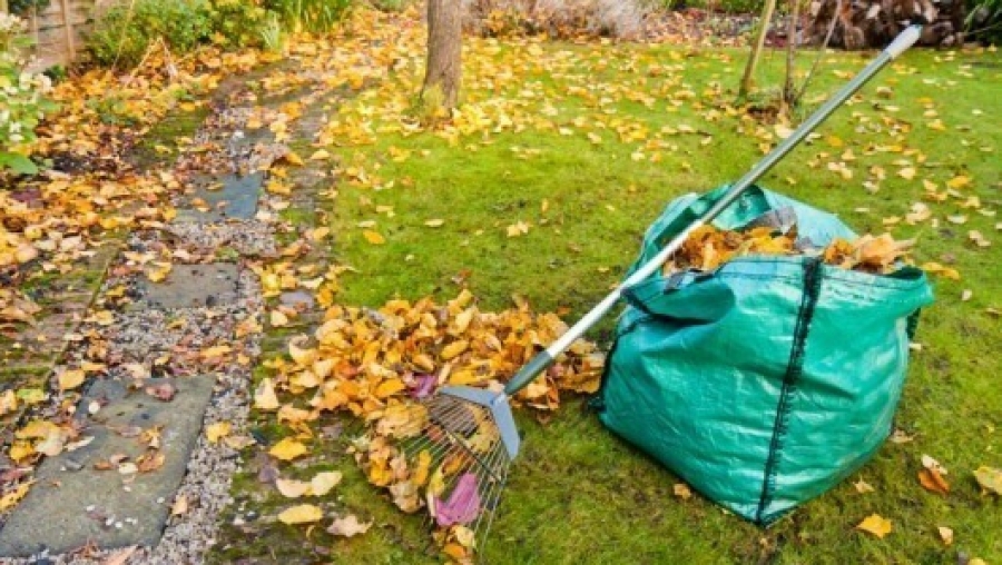 Idén áprilistól novemberig tart  a zöldhulladékgyűjtés Tatabányán