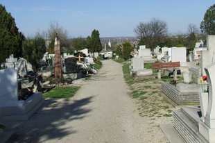 Hogyan tud közlekedni és milyen forgalomkorlátozások vannak a temetőkben Budapesten? Itt megtalálja