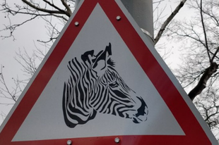 Látta már ezt a rendkívül találó közlekedési táblát Budapesten?