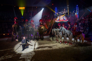 Cirkuszfesztivál: Tizenötezernél is többen látták a fesztivál programjait