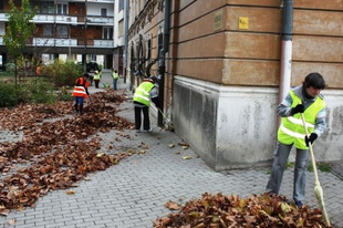 A közmunkások megbélyegzését előíró jogszabályt semmisített meg az Alkotmánybíróság