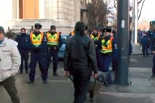 A több száz éves fák védelmében tüntettek a Ligetvédők