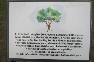 Városligeti képeskönyv - megtévesztésünkre