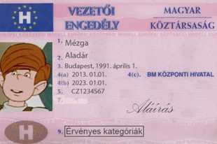 A bunkó és alkalmatlan sofőrök miatt szigorítanák a jogosítvány megszerzését - drasztikus javaslatok
