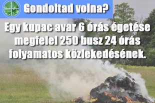 Avarégetés, avagy mi történik, ha valaki begyújtja a kerti „füstgyárat”?