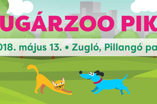 Tudja, hogyan kell a kutyusoknak, cicusoknak “viselkedni”? Zuglóban megnézheti a hétvégén ismét!