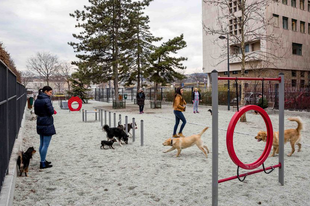 Puncsol a Liget Budapest a kutyiknak - Játszópark létesül a kutyáknak és gazdáiknak a Városligetben