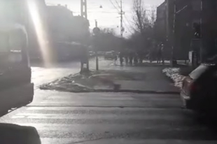 A NAGY ZUGLÓI HÚZÁS: Audis vontatott el egy lerobbant trolibuszt (VIDEÓVAL!)