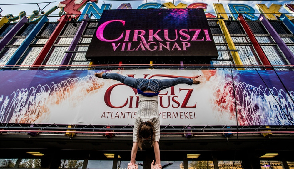 cirkusz-vilagnap-szinhaz-org.jpeg