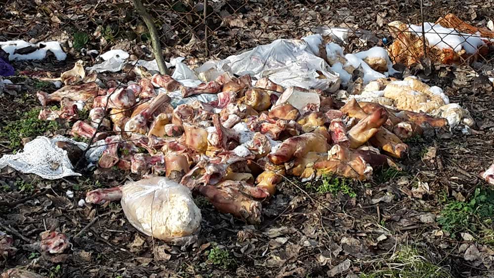 feldarabolt-allati-maradvanyok-hulladekvadasz-hu.jpg