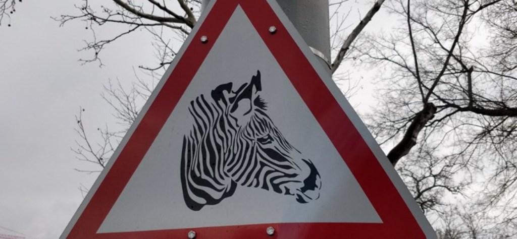 imagezebra.jpg