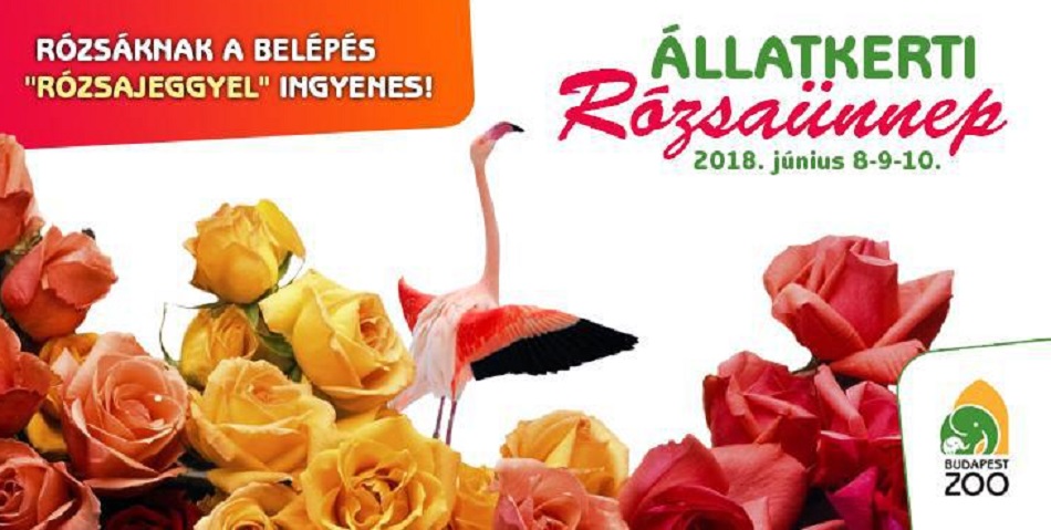 rozsaunnep_fohir_promobox_980x375px.jpg