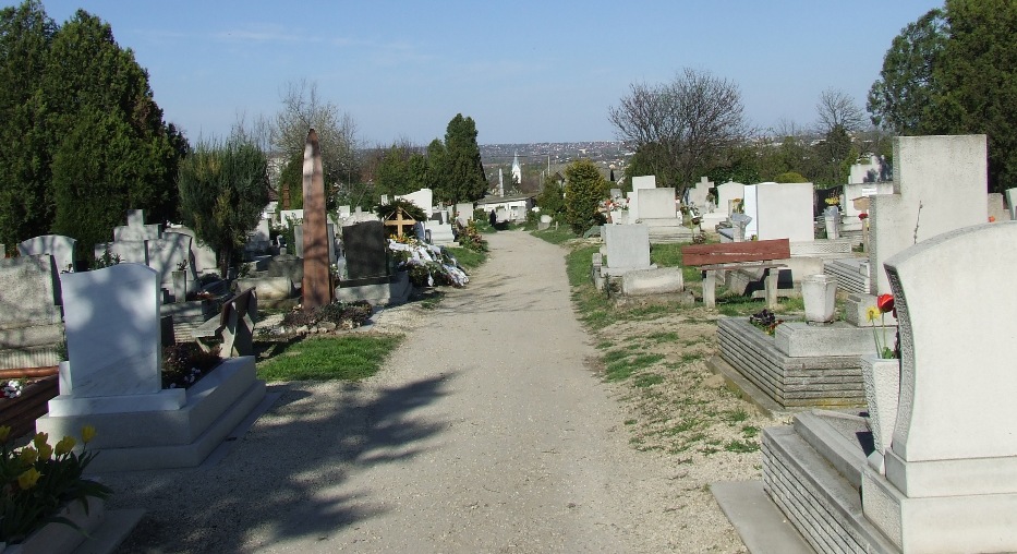temeto-mapio-net.jpg