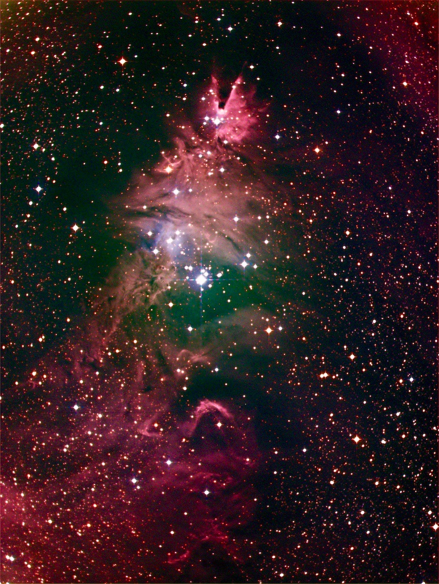 ngc2264.jpeg