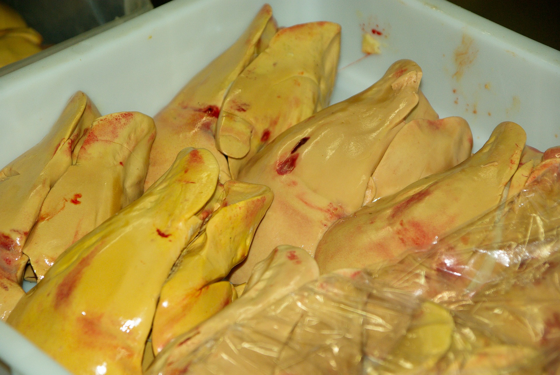 foie-gras-609207_1920.jpg