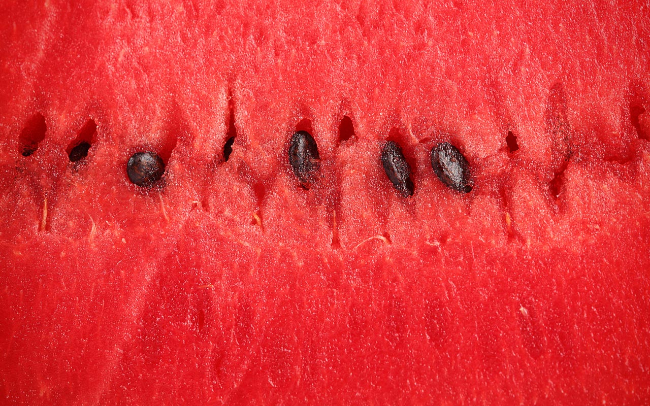 917424-watermelon-wallpaper.jpg