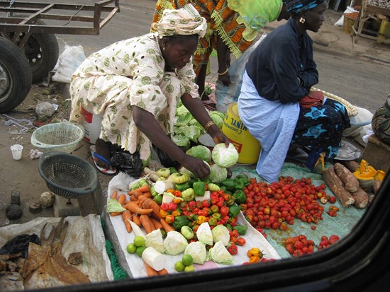 senegal-02 (Copy).jpg