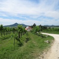 Csobánc hegy lábánál a Villa Tolnay-ban