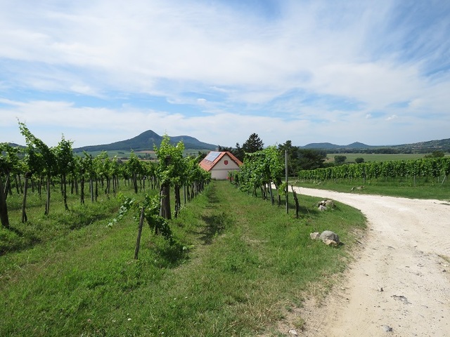 Csobánc hegy lábánál a Villa Tolnay-ban