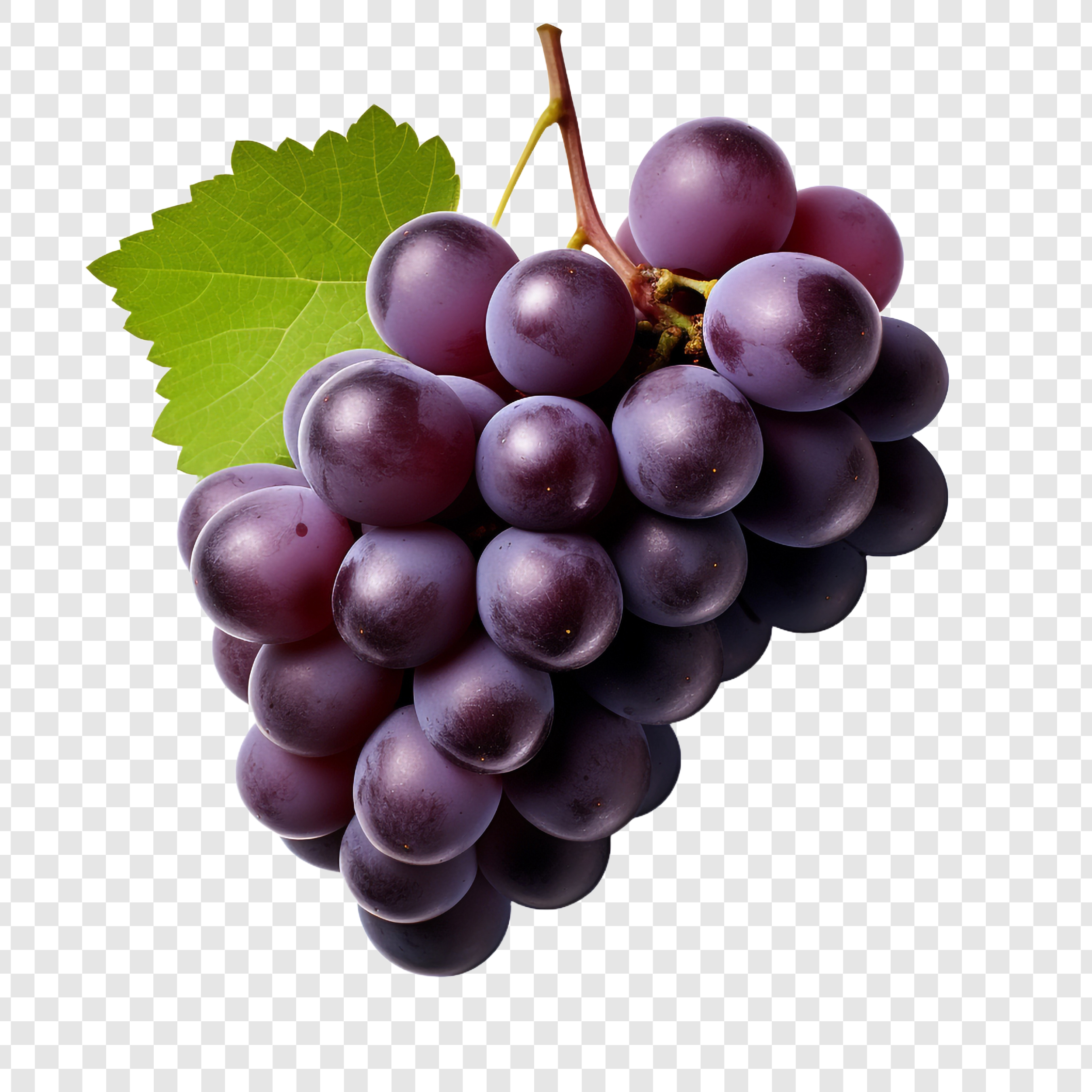 87822213_grape_-4.jpg