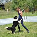 Dog dancing,Fresbee versenyek