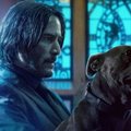 John Wick: 3. felvonás - Parabellum (John Wick: Chapter 3 - Parabellum, 2019)