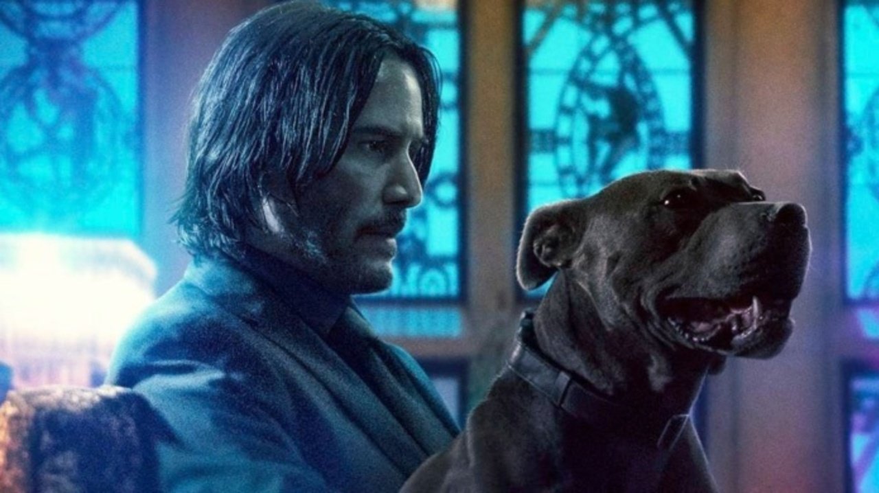 3532498-john-wick-3-trailer-reactions-1163924-1280x0.jpg