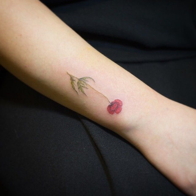 6b6127722c10edb504574ae030109c7c--vee-poppy-flower-tattoos.jpg