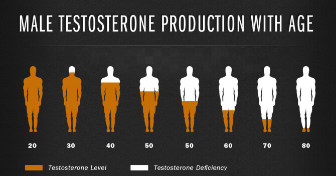 testosterone-production.jpg