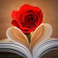 Happy Valentine's Day!