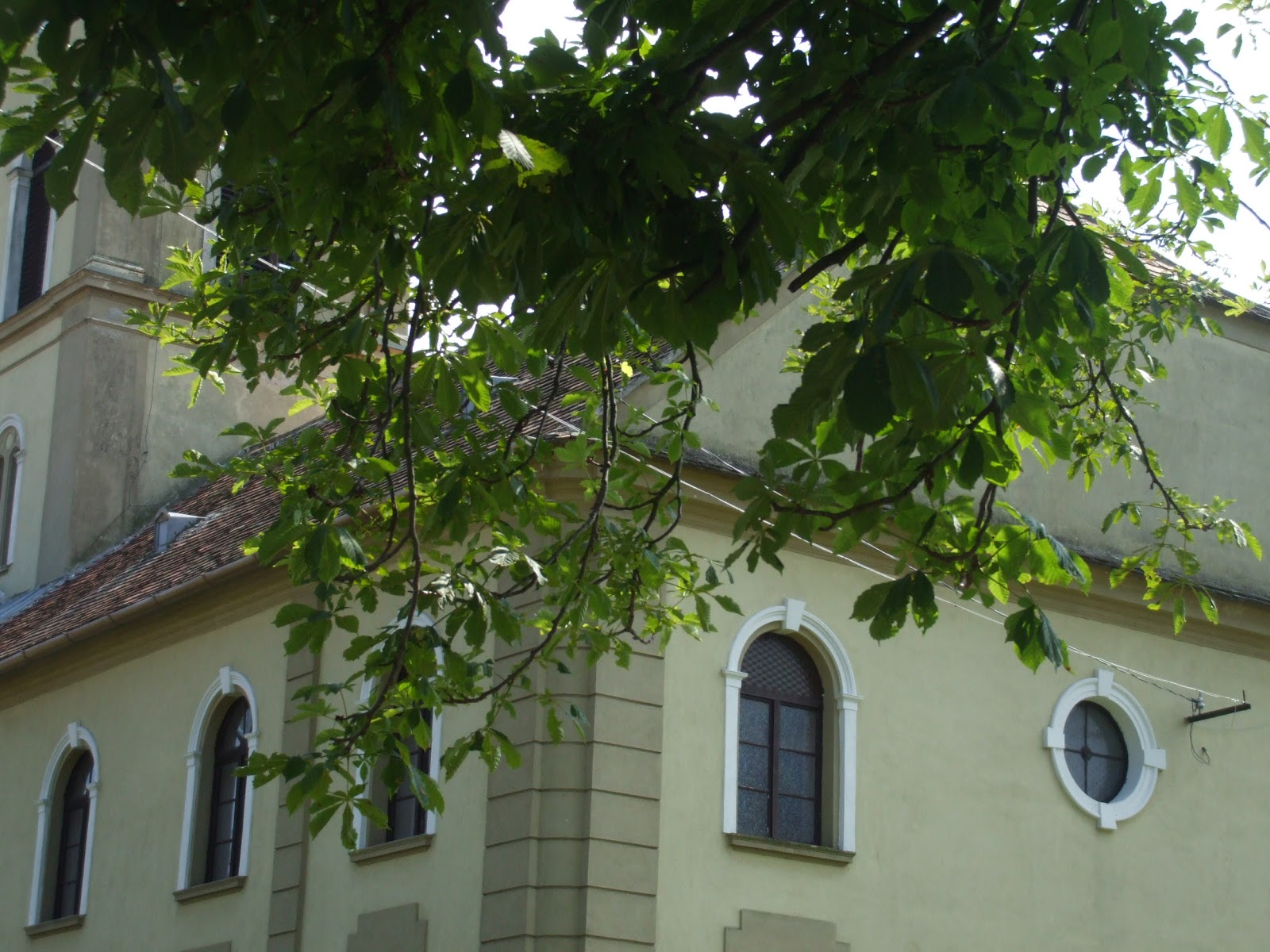 dscf5686.jpg