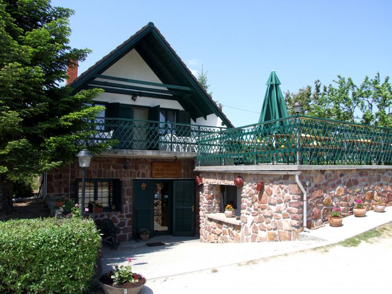 borbely_vendeghaz_x_800.jpg