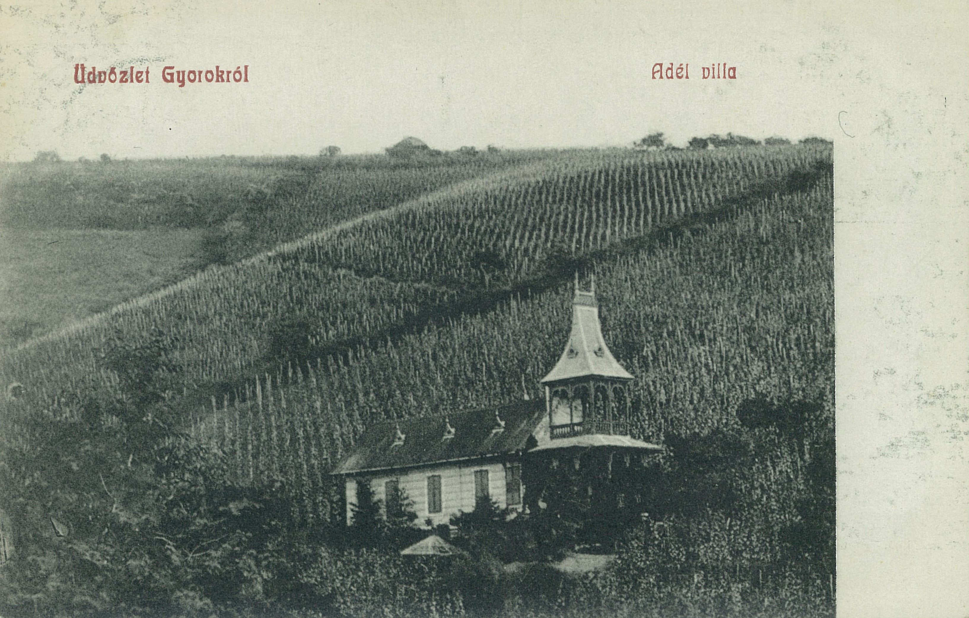 carte_postala_5.jpg