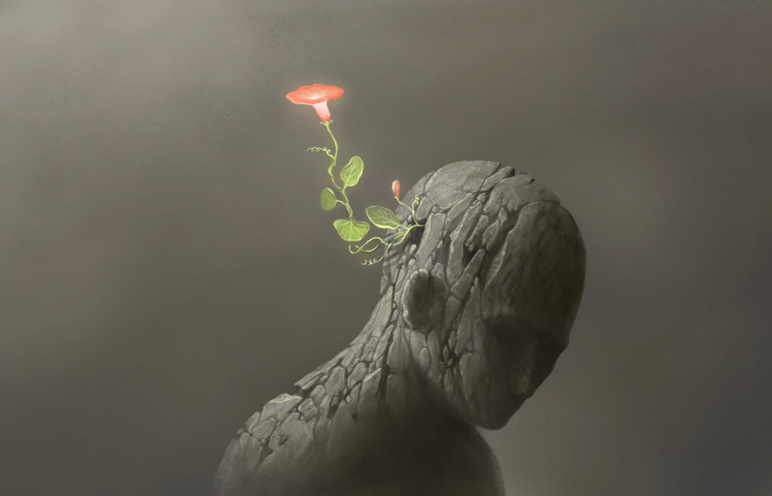 adobestock_307877903-scaled.jpeg