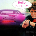 Hello Kitt!