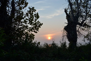 A gonosz háza - Poveglia szigete