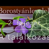 2. fejezet: A találkozás