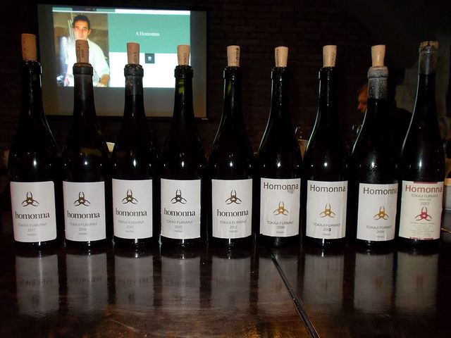 Tokaj Magic - Homonna Határi vertikális