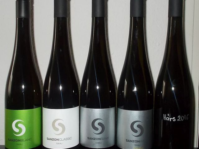 Sanzon Tokaj kvintett